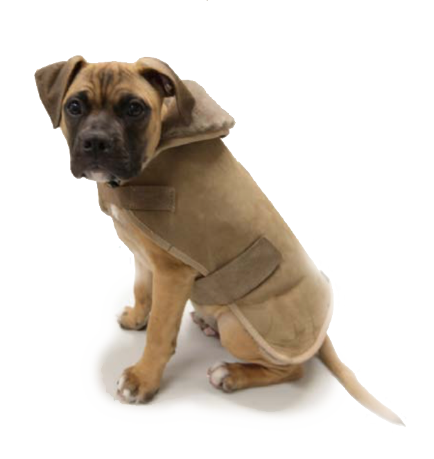 Dog online ugg jacket